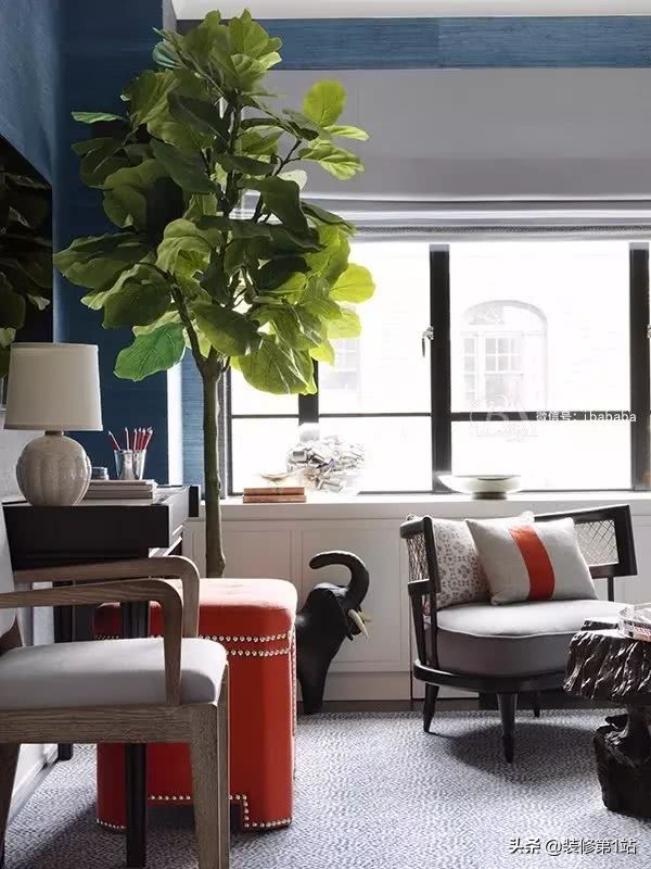 绿皮书电影吸引人的地方,电影绿皮书令人感动的地方