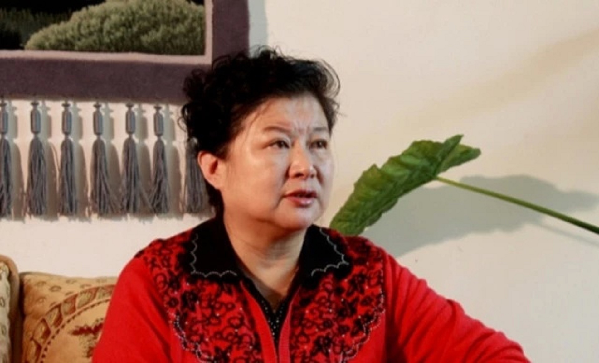 李静赵本山演戏,黄晓娟李静赵本山