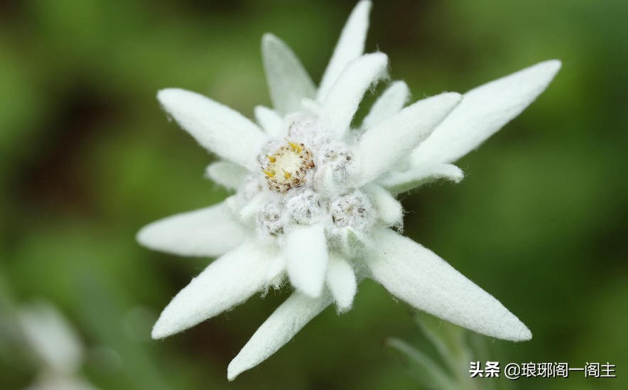 燕云十六州蔚州第一州,燕云十六州图