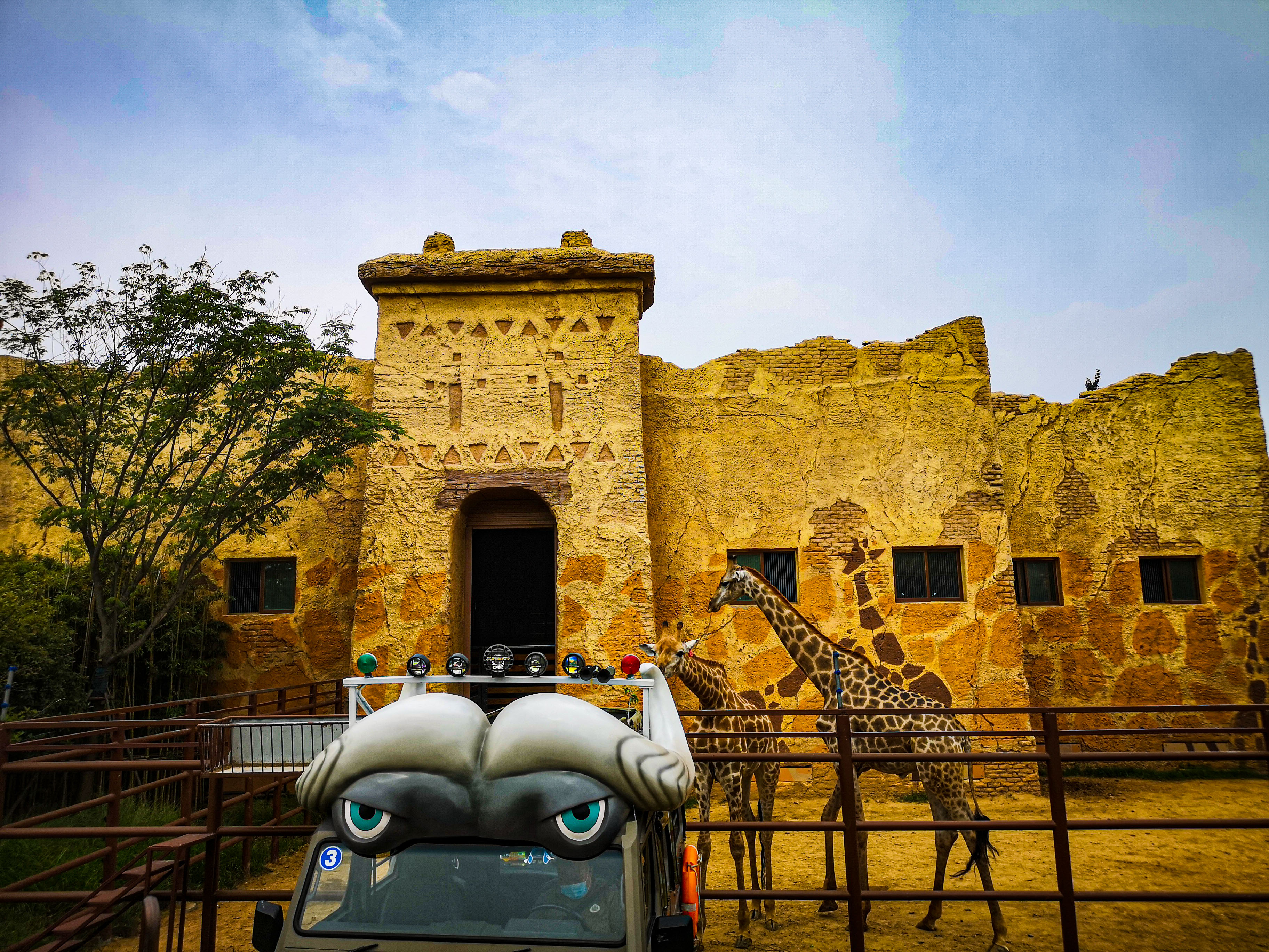 暑期郑州银基动物王国旅游,郑州市区怎么去银基动物王国