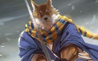 阴阳师百闻牌新式神2020讲解,阴阳师百闻牌怎么看什么是ssr