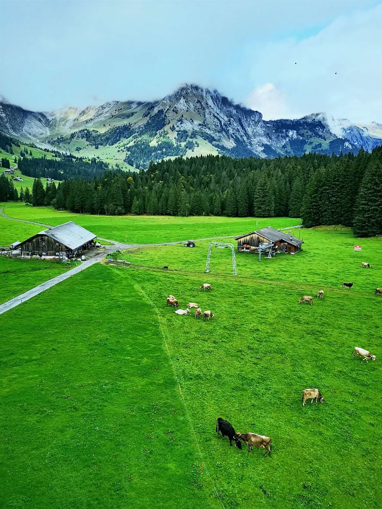 后期调色是怎么回事,后期调色多难