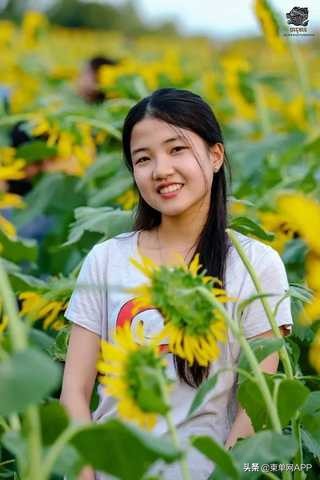 柬埔寨波贝不止有“菠菜”，还有美女和花海