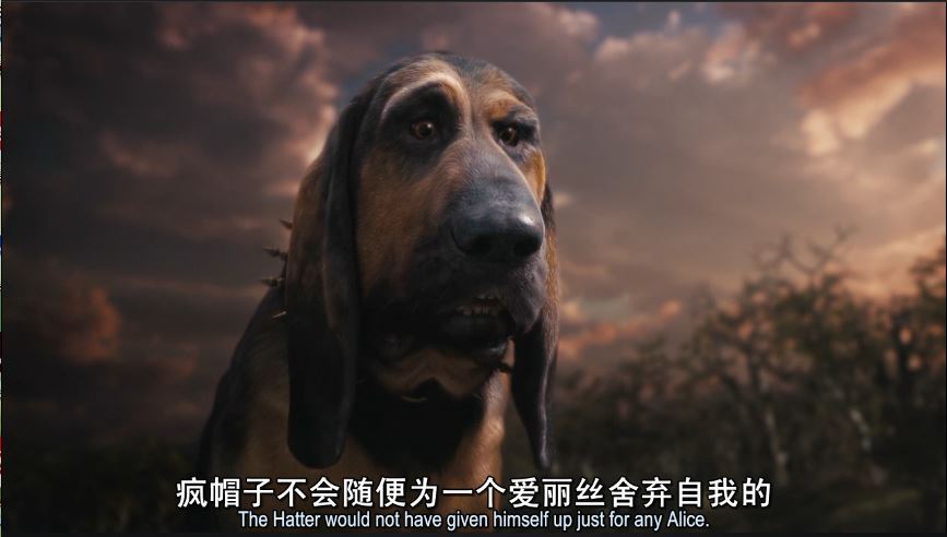 本周影片推荐：你找到了童年的那个兔子洞了吗？