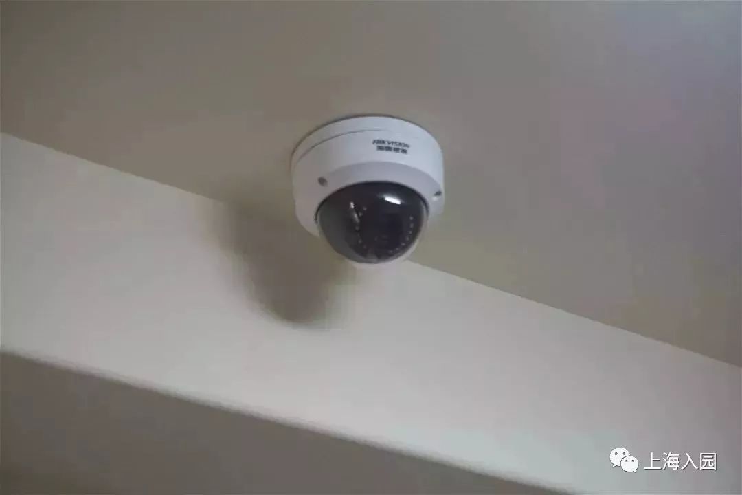 探园|这所幼儿园堪称“天然氧吧”!开办2年人气超高!报名人多