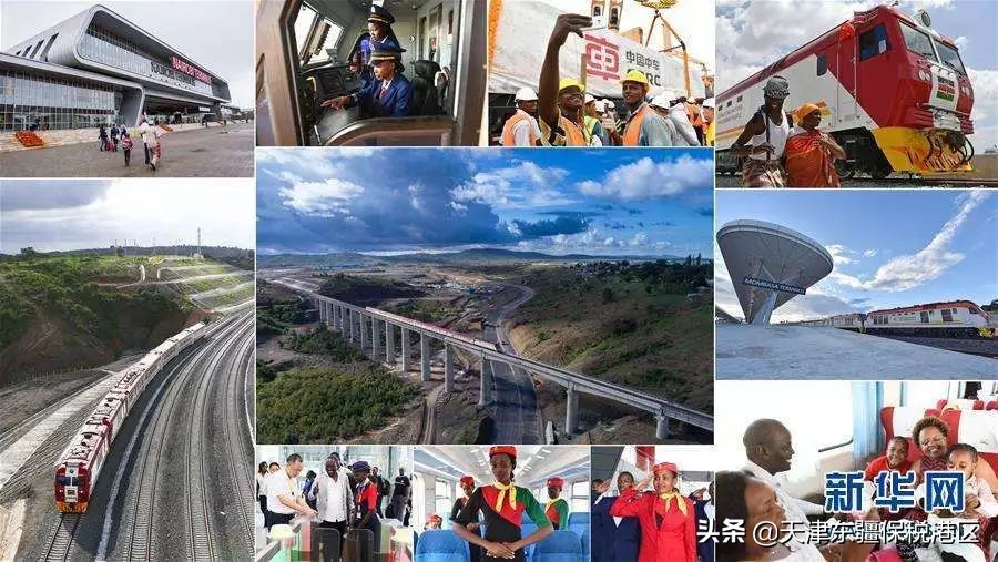 进博会四叶草领花,进博会收获购物袋