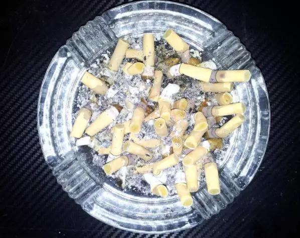 养花烂根黄叶用什么药,养花烂根最常见