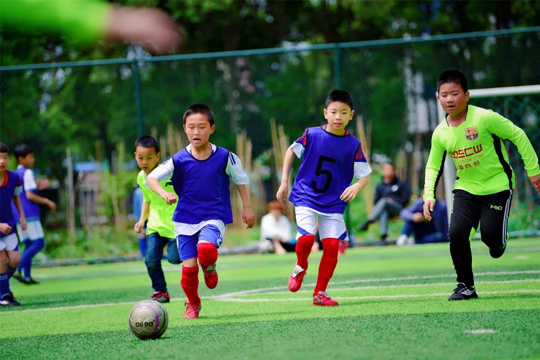 丽水的学校有哪些,第七批亚运足球梦想学校