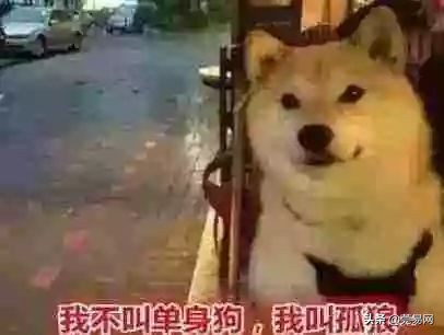 再见了大别山王宏伟原唱,再见了相互嫌弃的老同学