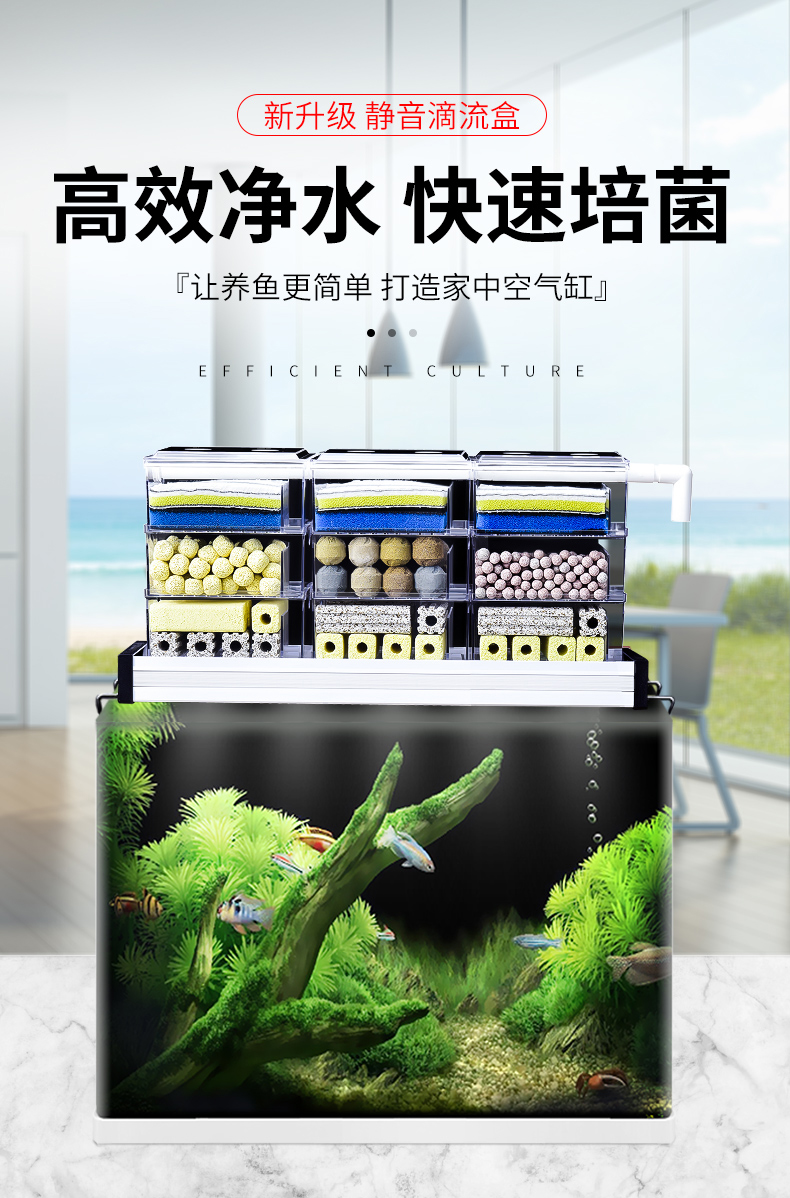 水族入门,养鱼新手入门过滤器推荐