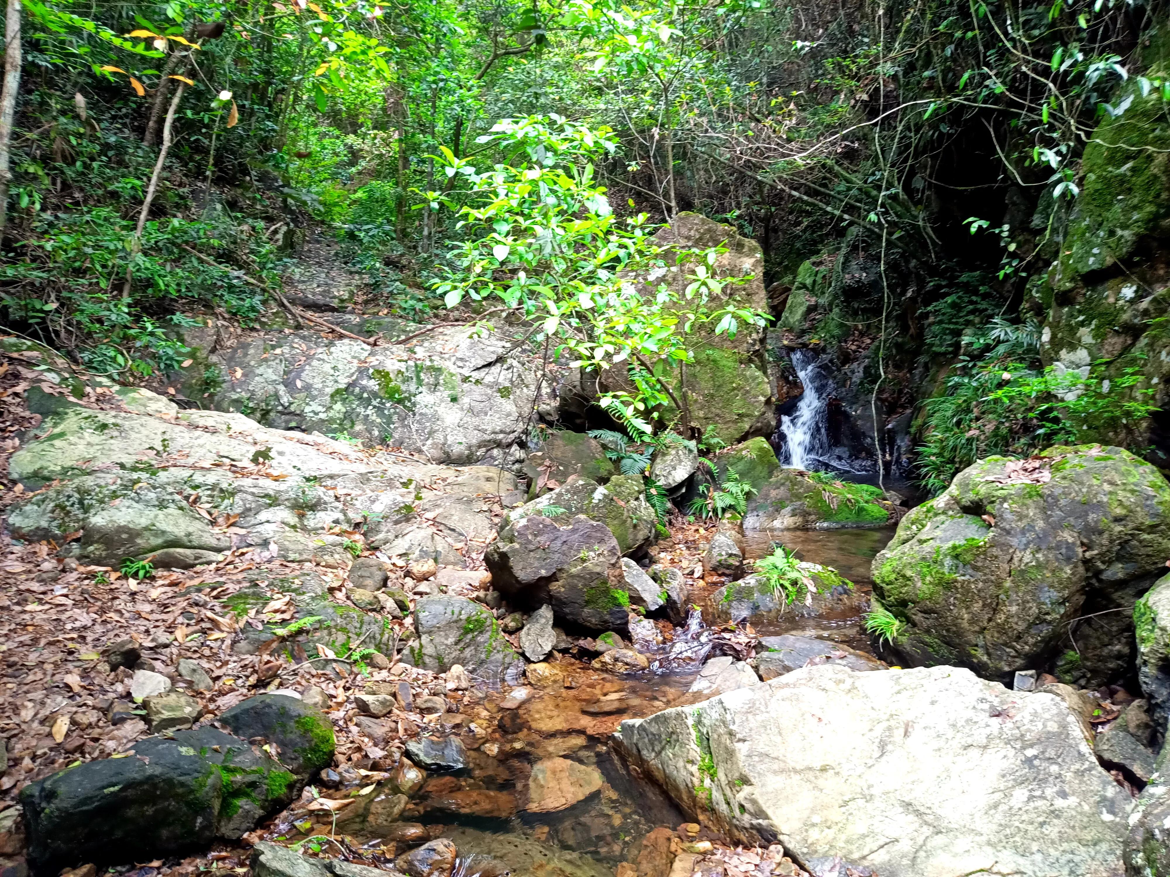 情人谷深圳,深圳情人谷绝情谷