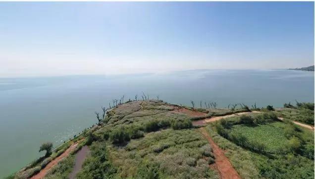 滇池边绝美花海,滇池南岸花海