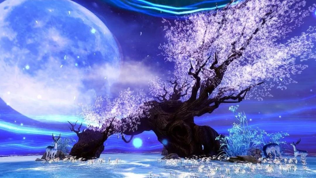 闰四月和双春年有什么不好,闰四月的禁忌和忌讳