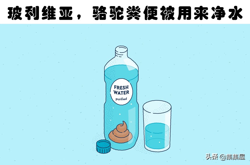 最短的自动扶梯是怎么运行的,世界上最短的自动扶梯怎么做