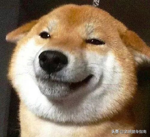 一步裙健身,一步裙健身房