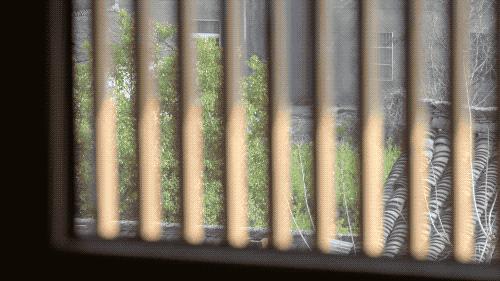 10个中产阶级,中国10个顶级家庭