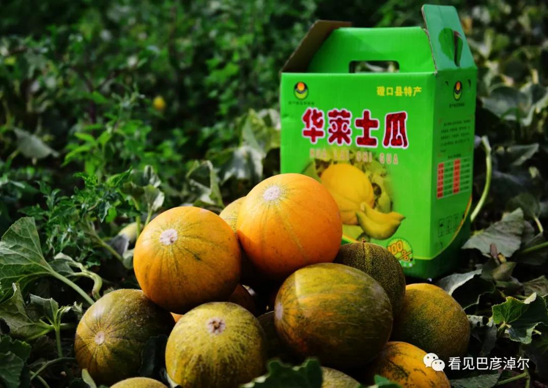 来认识一个不一样的我翻译,来认识不一样的滑雪