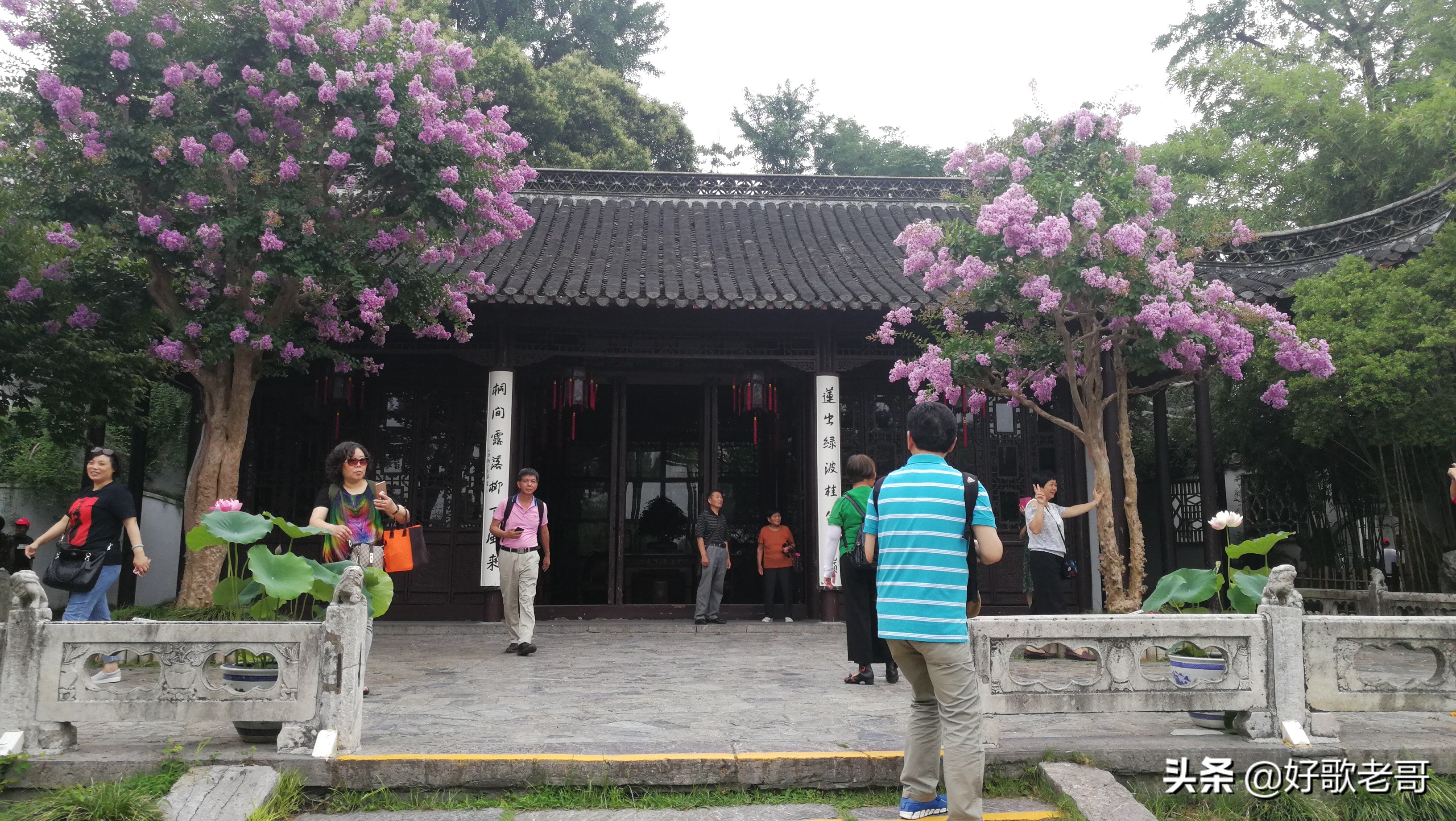 十里湖光，清澄缥碧，花木扶疏，连绵滴翠…瘦西湖游记