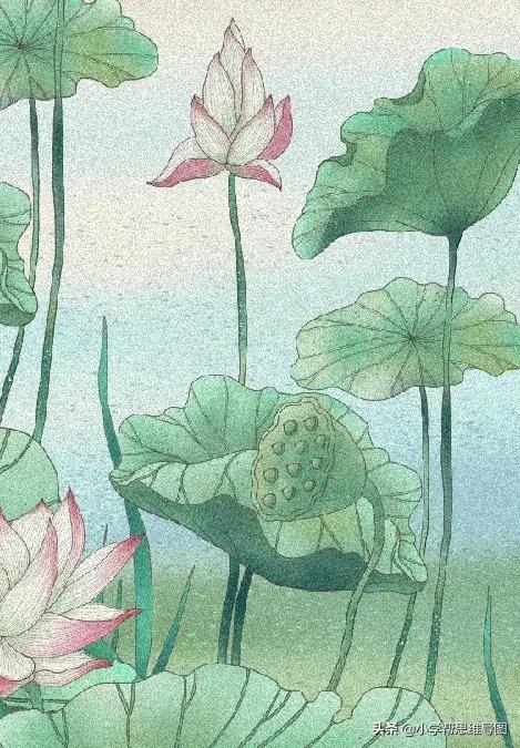 作文舌尖上的美食福州,作文舌尖上的美食饺子