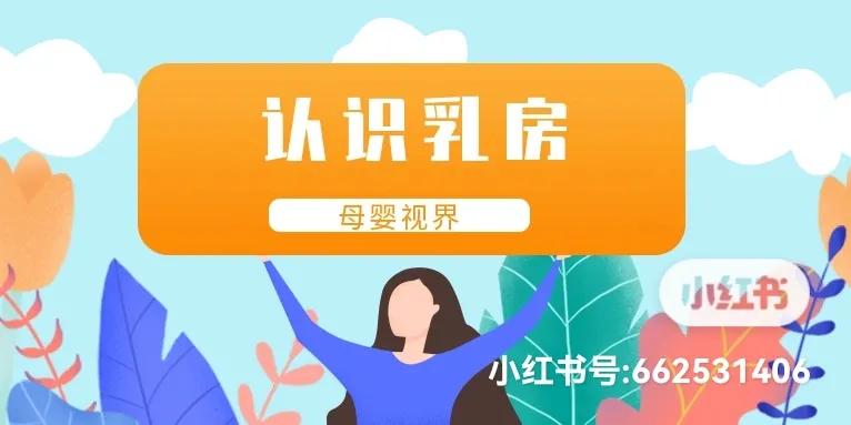 全面了解认识乳腺癌,了解乳房生理解剖