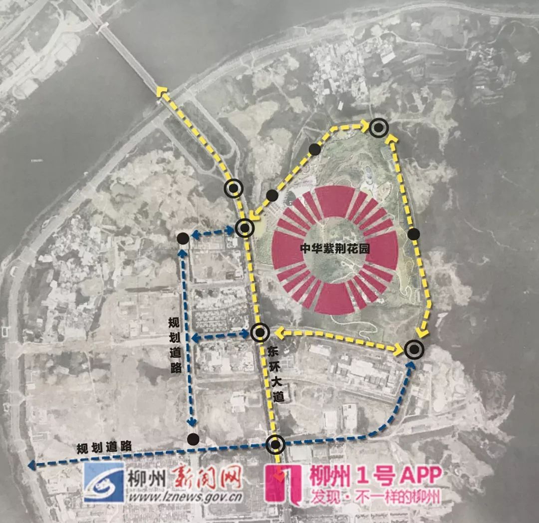 柳州紫荆花园在哪里,柳州紫荆花园最新消息