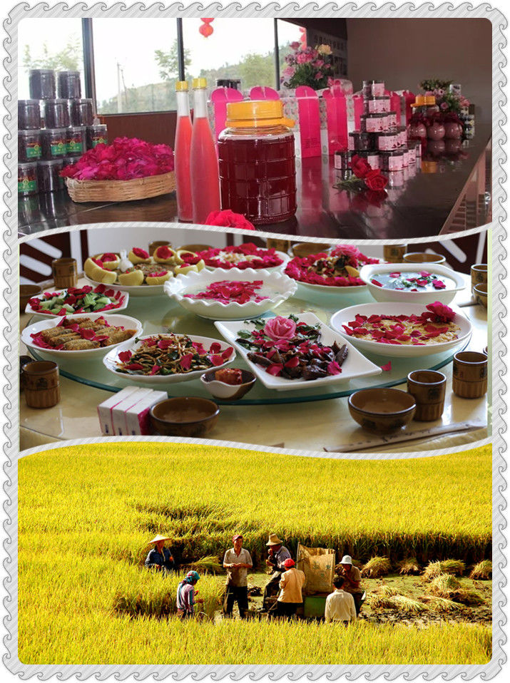 光禄的作品,光禄生日