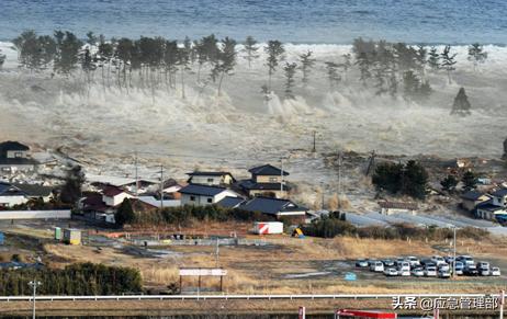 海啸应急科普,海啸自救常识幼儿