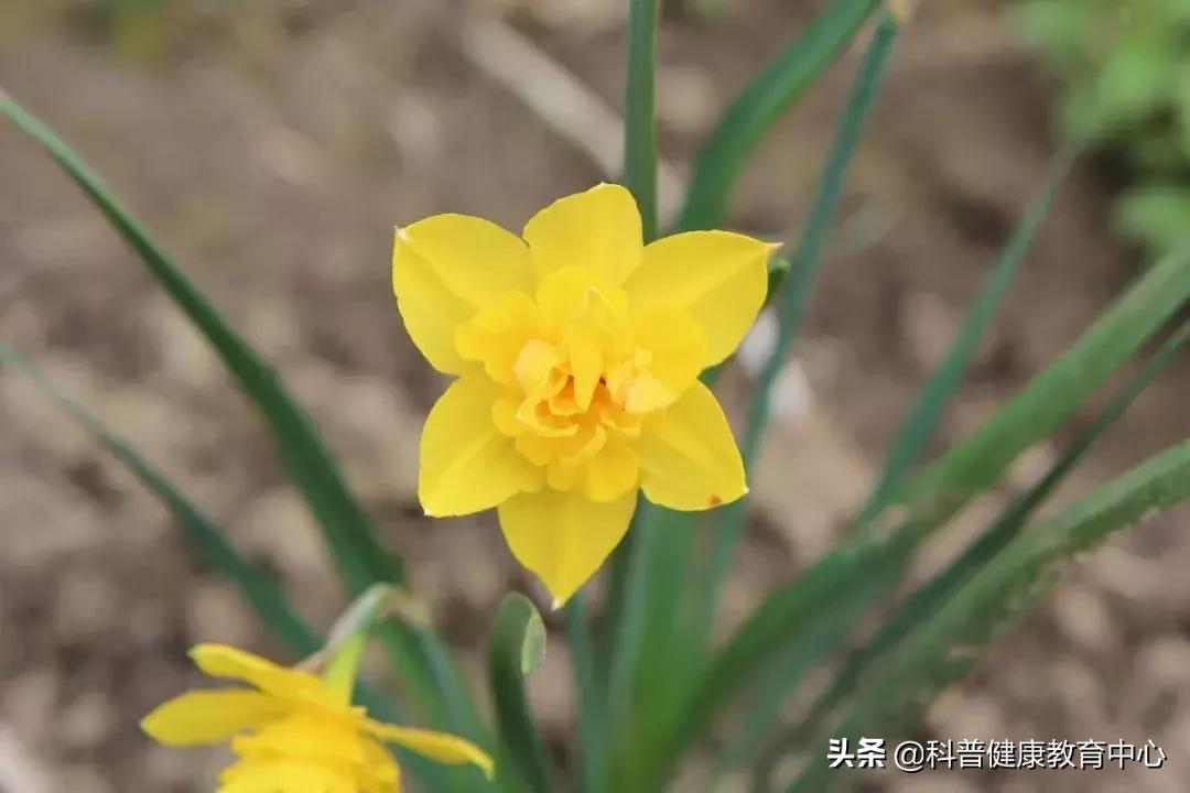 关于上火的饮食,上火的事情