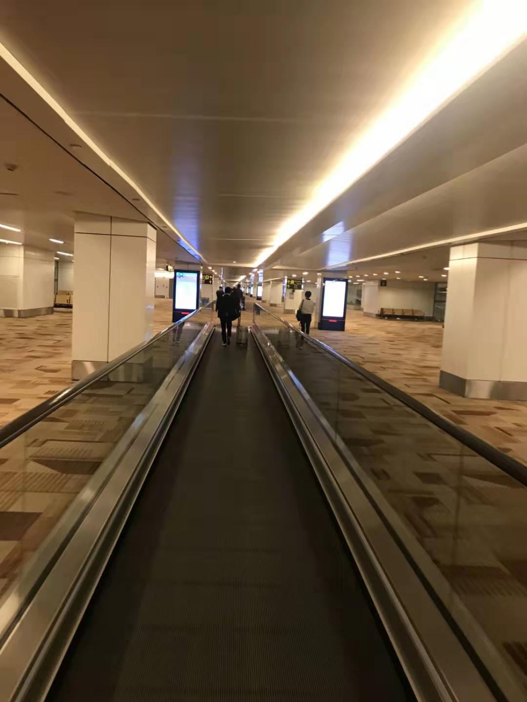 印度见闻17分钟,印度见闻2019