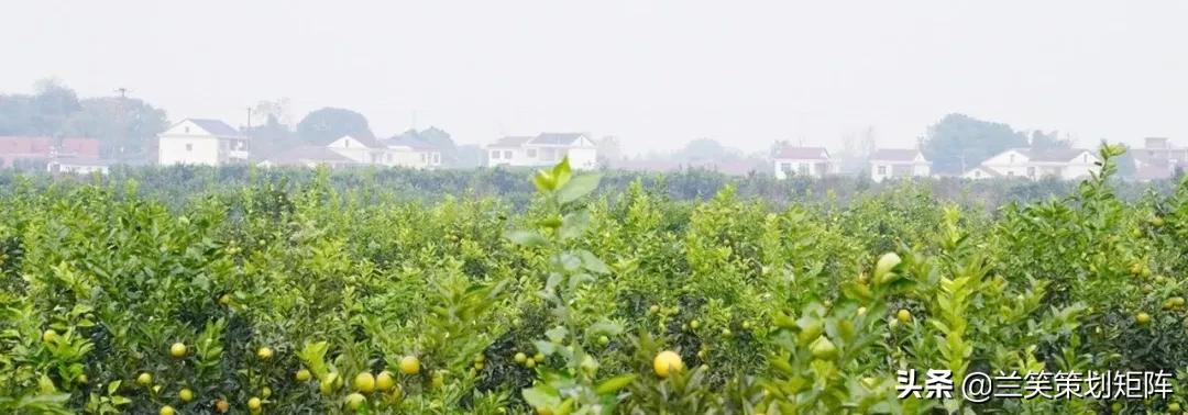 汉寿马涧村，此岸闻歌声，甜如糖橙的诗意栖居地