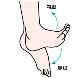 游泳打腿锻炼哪里的肌肉,游泳打腿的标准动作