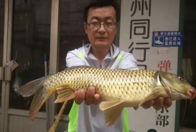 钓鱼笔记全集,钓鱼笔记100篇