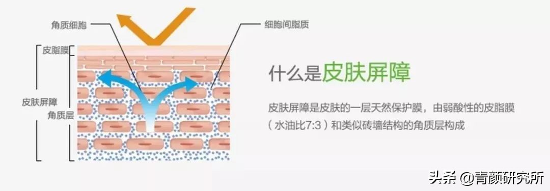 修复角质层薄红血丝敏感肌擦什么,角质层薄红血丝敏感肌肤用什么药