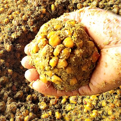 窝里有鱼不咬钩怎么解决,明明有鱼就是不咬口怎么办