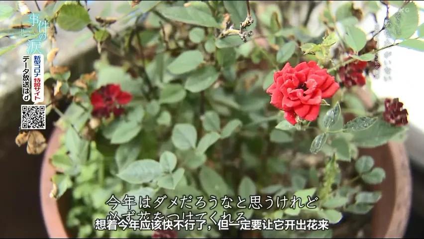 今天刷爆外网的新片，我拒绝打分