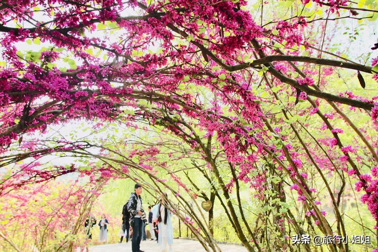 宜都大溪网红打卡点,宜都市网红打卡