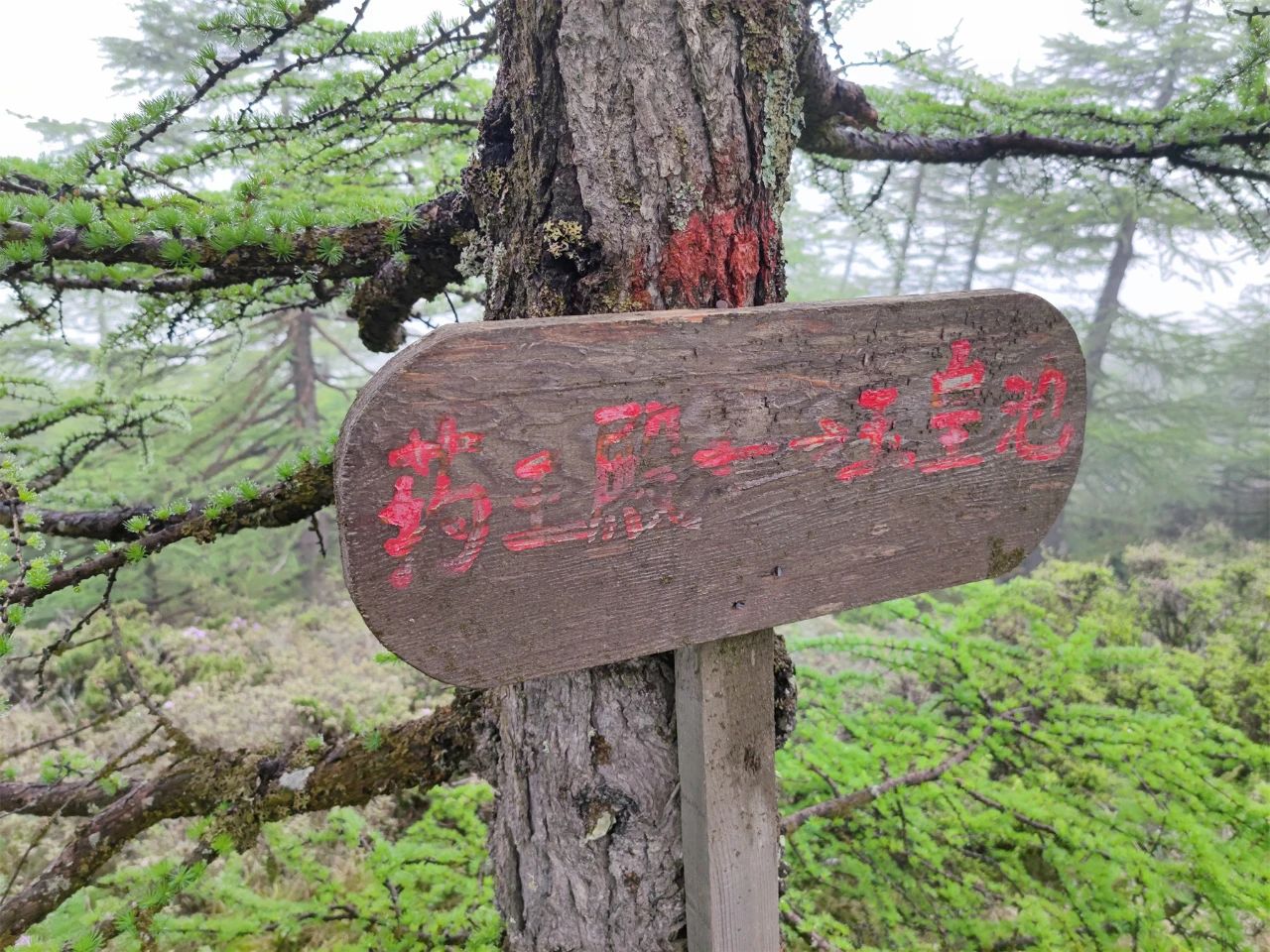 一个人的旅行——九死一生的太白山穿越记(3)