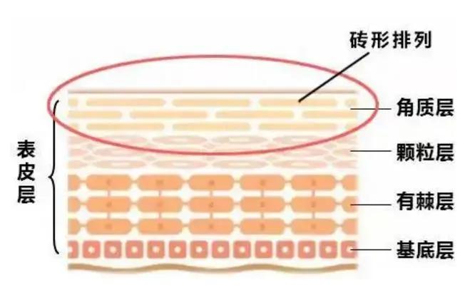 媲美“刘诗诗的百万修图师”，有了这款面膜，你也能拥有好皮肤