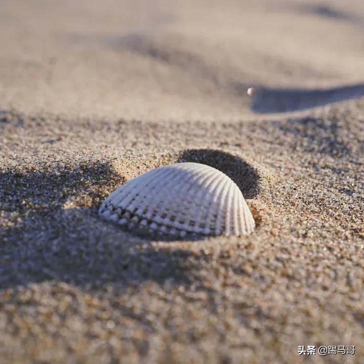 阿那亚必打卡地,阿那亚拍照打卡地
