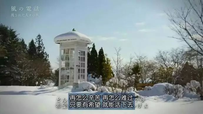 日本高分纪录片免费观看,日本的高分纪录片