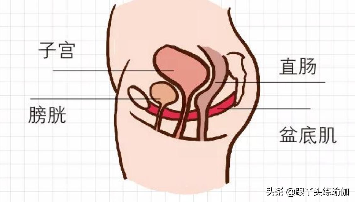 马伊琍谈产后漏尿问题,马伊琍谈女性产后涨奶