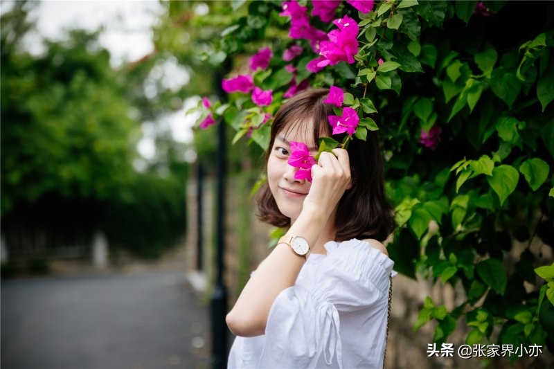 厦门旅游攻略超详细,厦门旅游攻略非常的详细