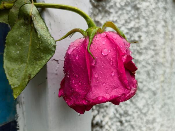 oppok9高通骁龙手机测评,oppok9手机性能跑分