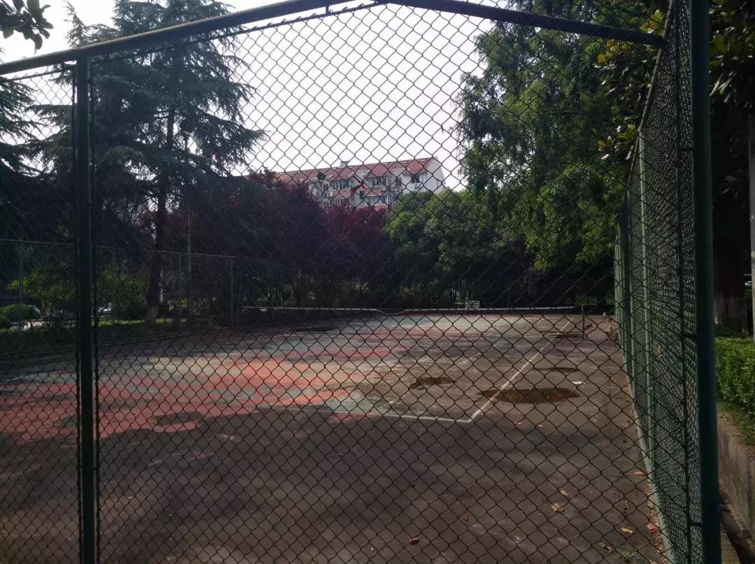 曾经的富人区如今没有人住,曾经的富人区洋房中的洋房