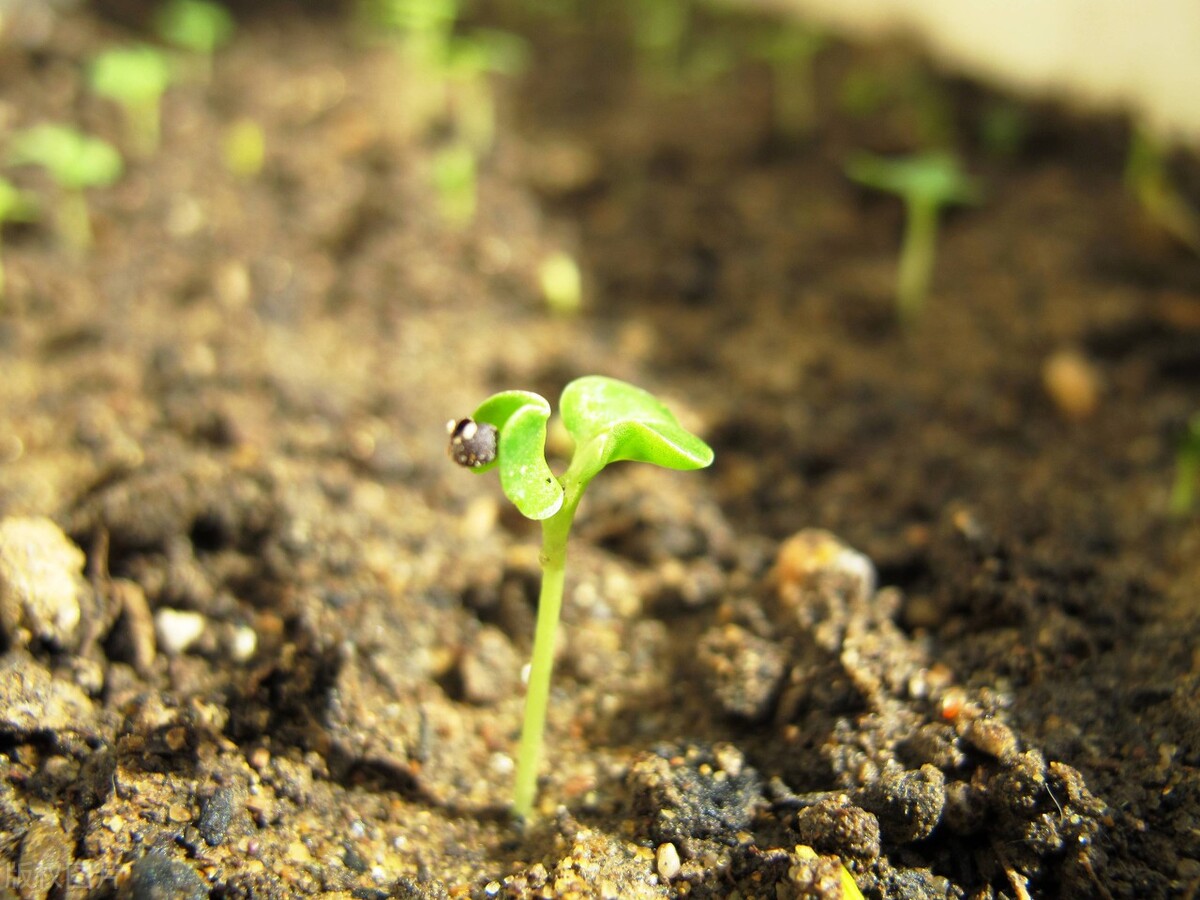 只有一种出路就是自己创业,自己独立创业才是一辈子的价值