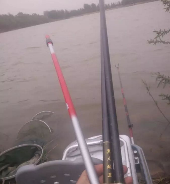 钓鱼笔记全集,钓鱼笔记100篇