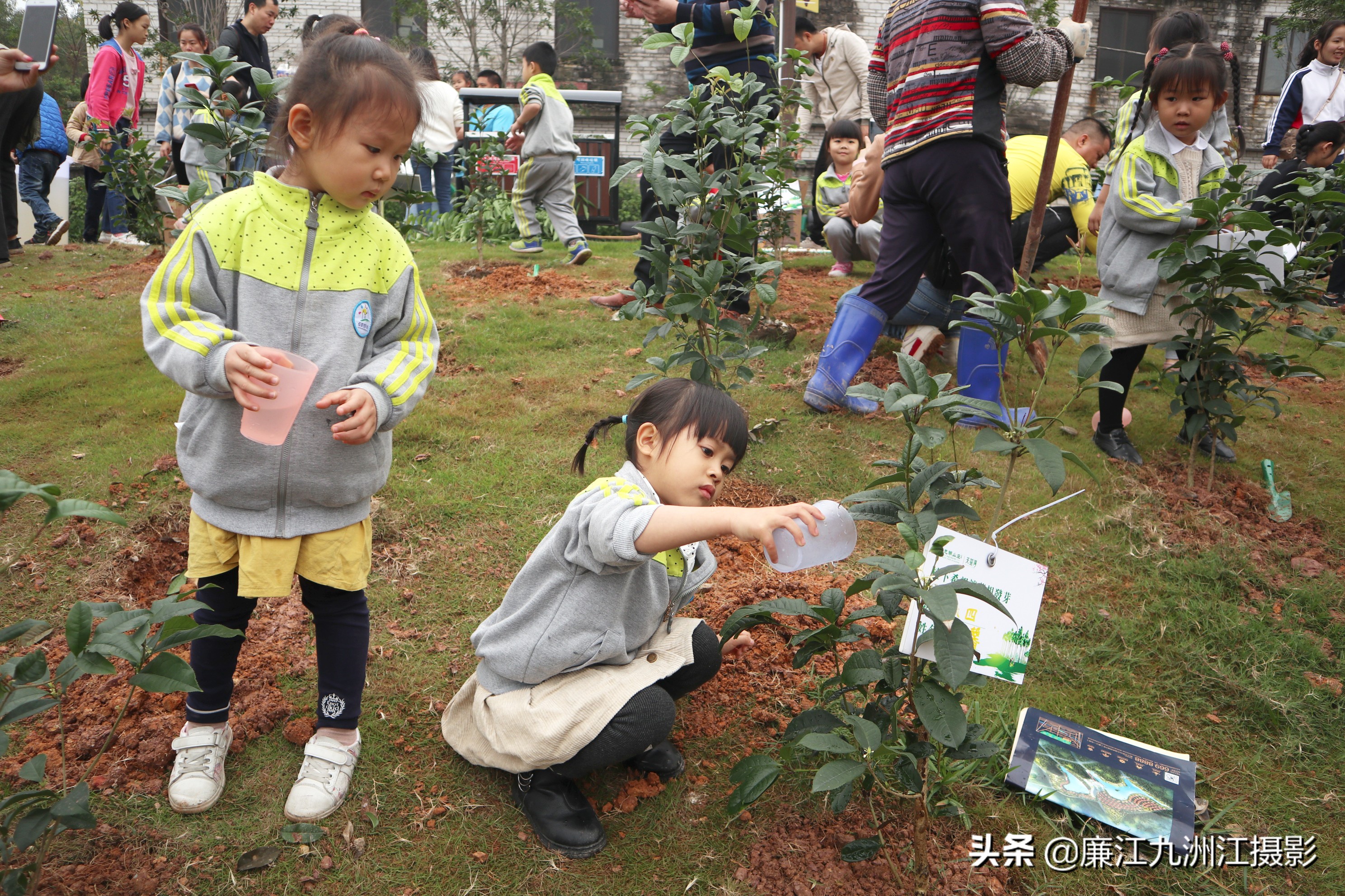 种下希望让梦想发芽舞蹈,种下希望让梦想发芽