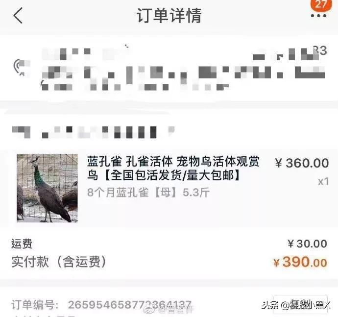 双十一买到的奇葩商品,双十一网购买到假货翻车现场