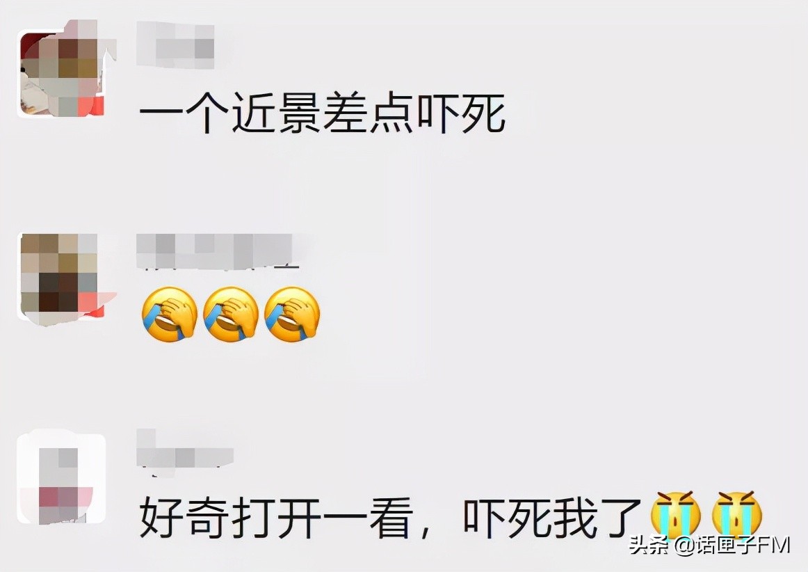 4米长，手臂粗！海关截获眼镜王蛇，现场还在不断喷射毒液