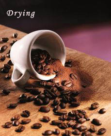 咖啡知识及操作,咖啡基础知识与鉴别